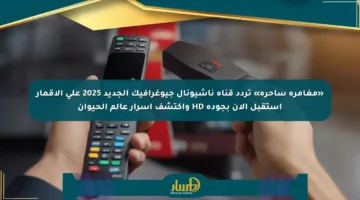 «مغامرة ساحرة» تردد قناة ناشيونال جيوغرافيك الجديد 2025 على الأقمار استقبل الآن بجودة HD واكتشف أسرار عالم الحيوان